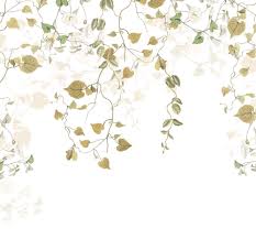 42 cm diverse variationen pro stück bei lidl schweiz. Vliestapete Hedera R3 025 Von Komar