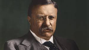 Image result for theodore roosevelt