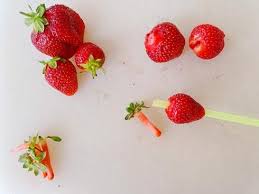 25 Trucs Culinaires Qui Revolutionneront Votre Vie Fraichement Presse Trucs De Cuisine Trucs Et Astuces Cuisine Cuisine Fraise