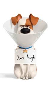 Max In The Secret Life Of Pets 2 4k Ultra Hd Mobile Wallpaper Secret Life Of Pets Pet Max Secret Life