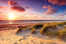 Informatie over de bediening van hoek van holland strand door treinen in het verleden is te vinden onder hoek van holland strand/bediening. Schone Strande In Holland Hier Kommen Unsere Tipps Hotelspecials Blog