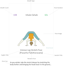 Yoga Sequence Builder App Details Yoga Teacher Resources Yoga Class Plan Yoga Sequences