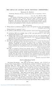 Image result for Syngrapha parilis