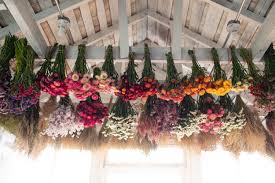 Maybe you would like to learn more about one of these? Discovering Dried Flowers Floret Flowers