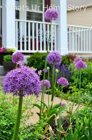 Spring Garden 2018 A Perennial Haven Whats Ur Home Story Spring Garden Spring Garden Ideas Diy Deer Resistant Perennials