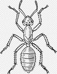 Lukisannyata lukisan keren paling nyatatutorial lukisan. Kumbang Semut Yang Menarik Serangga Tubuh Manusia Thorax Serangga Hewan Simetri Monokrom Png Pngwing
