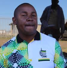 Is it normal for cabbage stem to turn purple after transplanting?