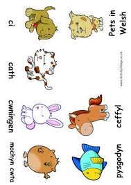 Welsh Language Printables Welsh Language Farm Animals Preschool Welsh