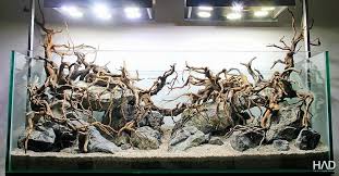 Simonsaquascapeblog Aquarium Design Aquascape Aquarium Landscape