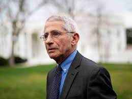 William engdahl termed him part of the gates foundation cabal and noted that in 2012 fauci was named one of the five. Republicans Are One Week Away From Starting A Lock Her Up Chant For Anthony Fauci Vanity Fair