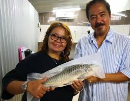 Ikan ini hanya boleh ditemui di sarawak & harganya mahal kerana rasanya yg sangat manis, serta isi & teksturnya yg lembut. Dulu Suri Rumah Kini Tauke Ikan Termahal Di Malaysia Semasa Mstar
