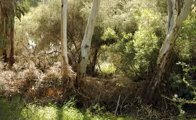 18 year old blonde barely legal nikki @ petergirls. Archive 26 Jan 2016 To 20 Feb 2016 Adelaide Homeless Journal