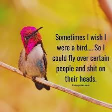 Sometimes I Wish I Were A Bird Keep Quotes Love Birds Quotes I Wish Quotes Funniest Quotes Ever