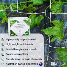 So your double 6x6 can support at least 4000 lbs (possibly more if you do a good job bonding the two members together so that there's no slip between the faces). A Perfect Gardening Gifts 5x15 Ft Trellis Net With 6x6 Inch Square Holes 2 Pack Soft
