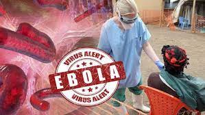 Virus rna adalah virus yang materi genetiknya berupa asam nukleat yang berbentuk rantai tunggal atau ganda tidak berpilin. Fakta Fakta Kembali Munculnya Virus Ebola Di Tengah Pandemi Covid 19 News Liputan6 Com