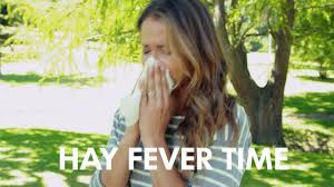 Hay Fever Time Long Hair Styles Pollen Allergies Air Purifier