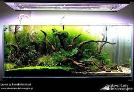Favourties Tank By Pawel Mielniczek I Would Stare At This Forever Aquascape Aquascape Design Aquascape Aquarium