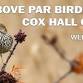 Above Par Birding at Cox Hall Creek event image