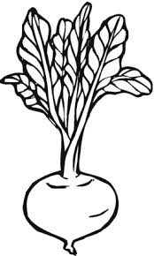 Beetroot 3 Coloring Page Supercoloring Com Vegetable Coloring Pages Coloring Pages Fruit Coloring Pages