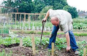 The main thing to remember when gardening with a bad back is to break up the work into manageable increments and to continue stretching your muscles throughout the process. Bbc Gardening Gardening Guides Techniques Back Care