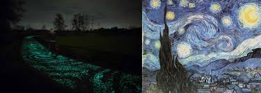 He produced mainly depictions of land and sea. Dutch Artist Creates Unique Bike Path Tribute To Vincent Van Gogh S The Starry Night Abc7 San Francisco