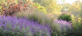 Image result for flower garden