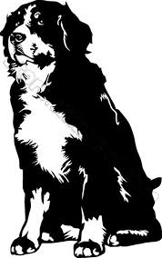 Black Bernese Mountain Dog Clipart Image Result For Bernese Mountain Dog Silhouette Dog Silhouette Dog Clip Art Dog Peeking