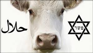 what is the difference between kosher and halal chowhound