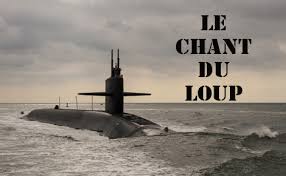 Un jeune homme a le don rare de reconnaître chaque son qu'il entend. Le Chant Du Loup Plus Qu Un Film Une Experience