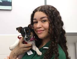 Meridian Veterinary Practice