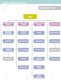 the following example organizational chart showing a functional