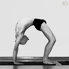 Urdhva Dhanurasana Ashtangayoga Info