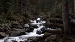 Tabăra le este oferită de centrul cultural italian. Sambata De Sus Chilia Parintelui Arsenie Boca Si Manastirea Brancoveanu Youtube