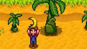 The sweet fruit of the prickly pear cactus. Bananas Are Coming To Stardew Valley Eurogamer Net