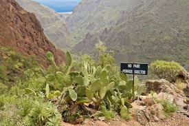 Puerto rico (gran canaria) reviews & ratings. Top 10 Gran Canaria