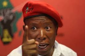 Barry Bateman apologises to Julius Malema, accepts disciplinary action