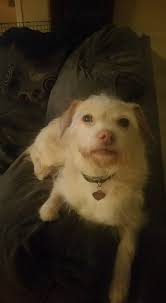 Can flyers be posted in Vista neighborhood?