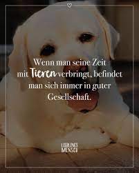 Dogs have a way of finding the people who need them and filling an emptiness we didn't ever know we had. Lieblingsmensch Spruche Beziehung Spruche Uber Freundschaft Spruche Menschen