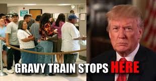 Image result for immigrant welfare
