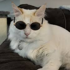 RUSSELL RIDGE ANIMAL HOSPITAL