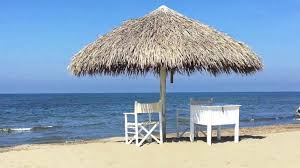 Epingle Sur Parasols Treilles Pergolas