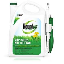 50% super concentrate weed and grass killer kills the roots of weeds and unwanted grass. Best Weed Killer Reviews Complete Buyer S Guide