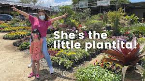 We did not find results for: We Will Try To Grow My Preschooler S Tiny Garden From Our Balcony Elle Anorma