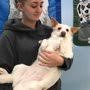 Check out holiday barn's location in glen allen to see our modern facilities that give your pet the best experience. Holiday Barn Pet Resorts 19 Photos 37 Reviews Pet Groomers 3800 Mountain Rd Glen Allen Va Phone Number