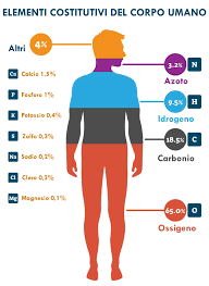 Grandi quantità di potassio sono presenti anche in pomodori, cetrioli, zucchine, zucca, carote, melanzane, legumi e frutta secca. Potassio Alimenti Lista Benefici Cibi Ricchi Di Potassio X115