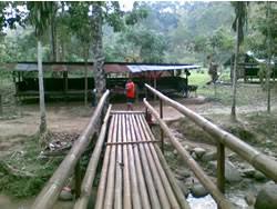 .reserve area are pejabat hutan daerah rawang (hulu selangor), pejabat hutan daerah selangor tengah and institut penyelidikan perhutanan malaysia (frim). Pejabat Hutan Daerah Selangor Tengah Author On H
