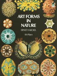 Although best known for the famous statement ontogeny recapitulates phylogeny, he also coined many words commonly used by biologists today, such as phylum, phylogeny, and ecology. Read Art Forms In Nature Online By Ernst Haeckel Books
