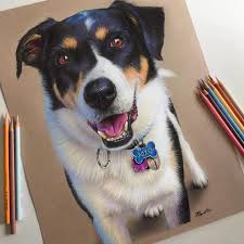 Beautiful Colored Pencil Work By Morgan Davidson Realistic Drawings Color Pencil Art Realistic Pencil Drawings I sketched in hair masses enough to know where and how they defined the dog's appearance and how they related to the fixed features, but i didn't spend a lot of time on them or draw. realistic drawings color pencil art