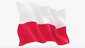 Poland flag royalty vector image vectorstock. Poland Flag Animation Model Turbosquid 1613913