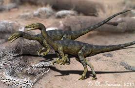 Coelophysis lived during the late triassic period. Interesting Facts About Coelophysis